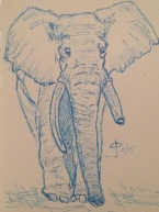 Elephant love in Pen & Ink