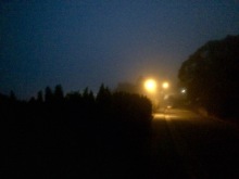Secret of My SucCecil: An Extraordinarily Foggy Night
