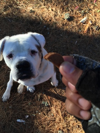 Taylor and his TREAT 11-19-15 8